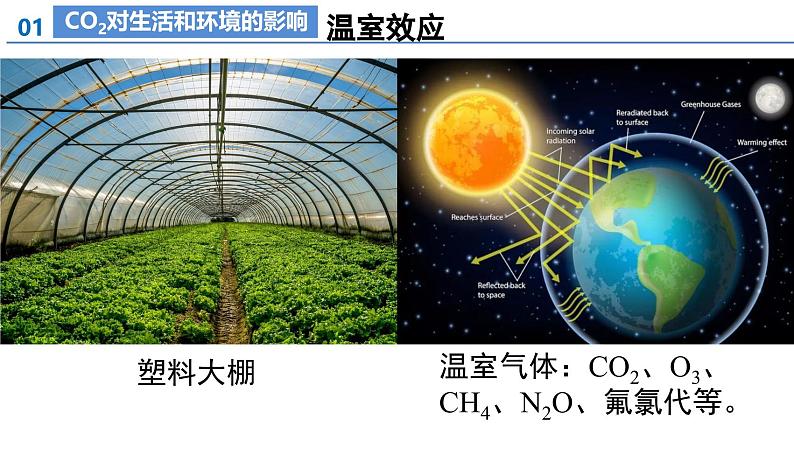 课题2 碳的氧化物（第2课时）（教学课件）--2024-2025学年度九年级化学上册同步高效课堂（人教版2024）08