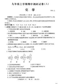 河南省安阳市林州市2024--2025学年九年级上学期11月期中化学试题