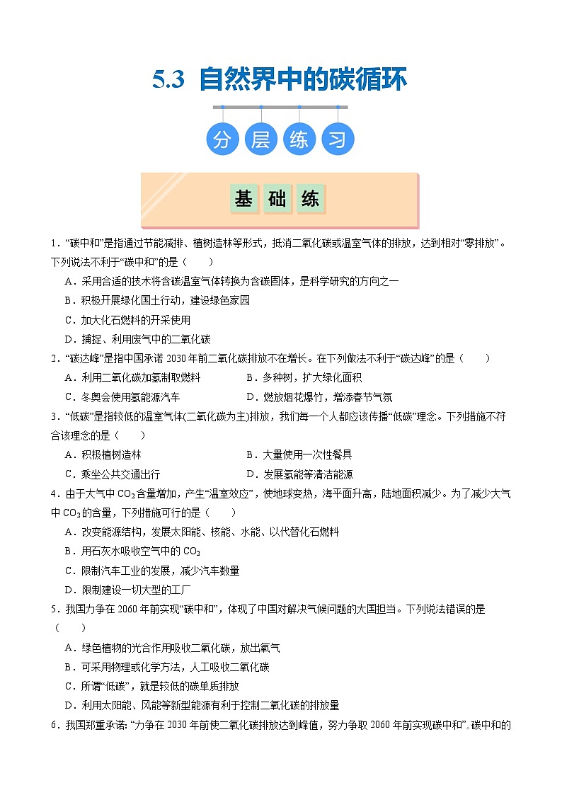 5.3 自然界中的碳循环（分层练习）（原卷版）第1页