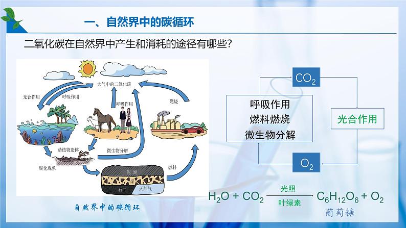 5.3 自然界中的碳循环（同步课件） 第6页