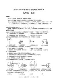 贵州省黔南布依族苗族自治州平塘县2024-2025学年九年级上学期11月期中考试化学试题