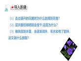 人教版（2024）九年级化学上册3.1分子和原子ppt课件