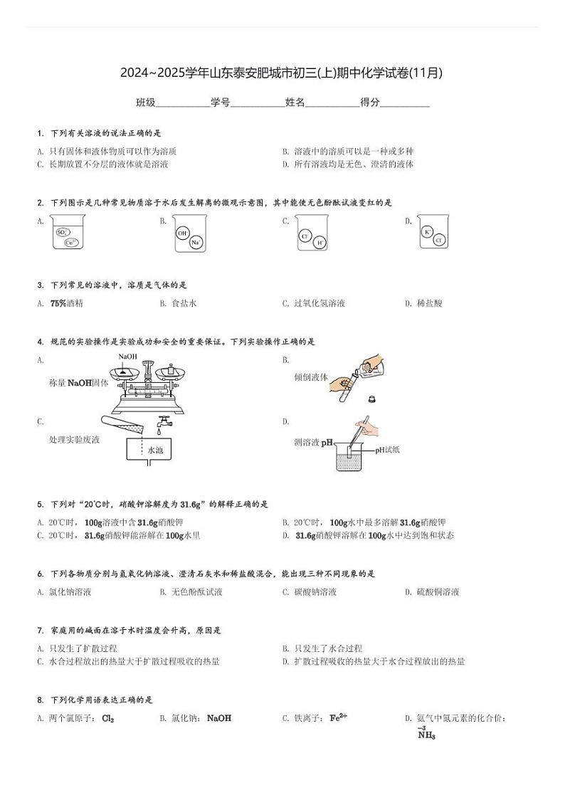 2024～2025学年山东泰安肥城市初三(上)期中化学试卷(11月)[原题+解析]第1页