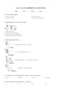 2024～2025学年上海杨浦区初三(上)期中化学试卷[原题+解析]