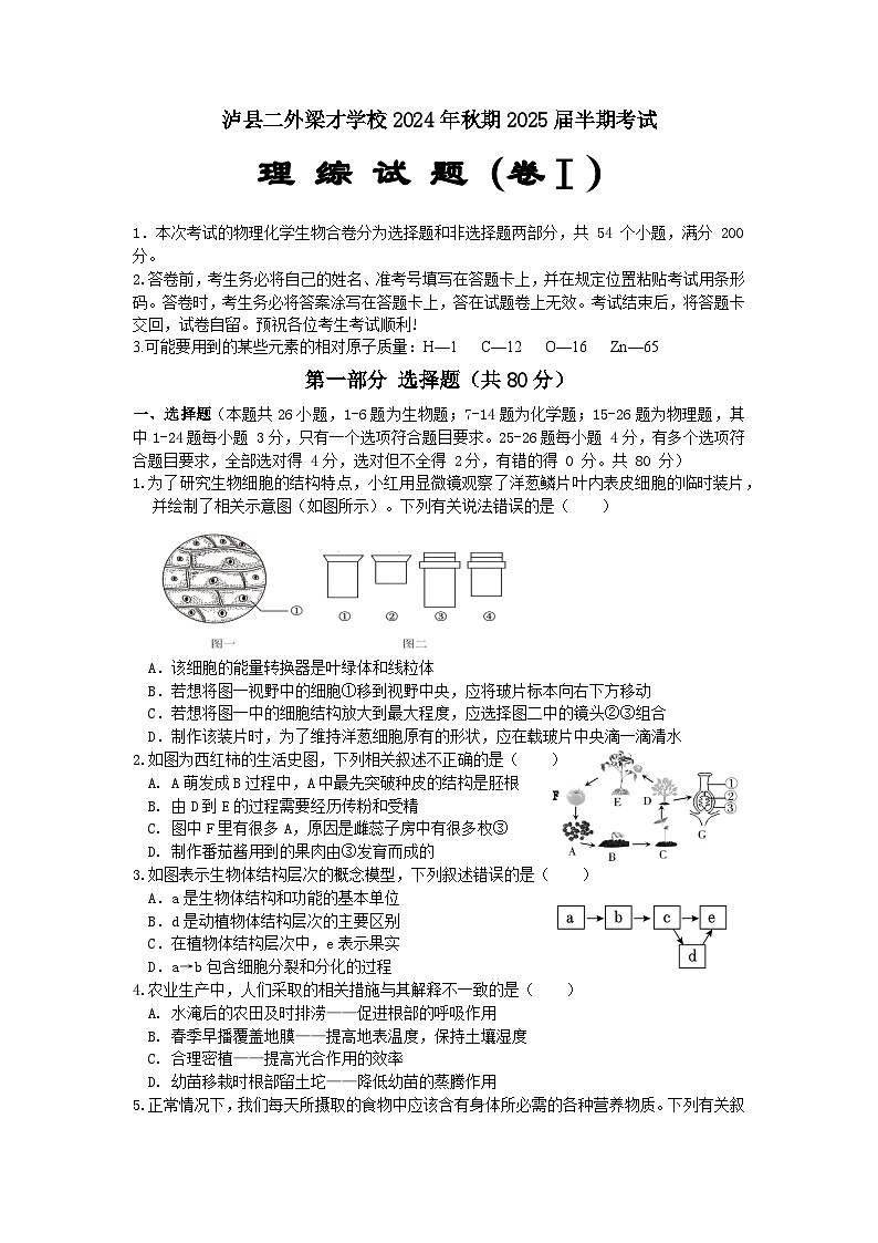四川省泸州市泸县二外梁才学校2024-2025学年九年级上学期11月期中化学试题01