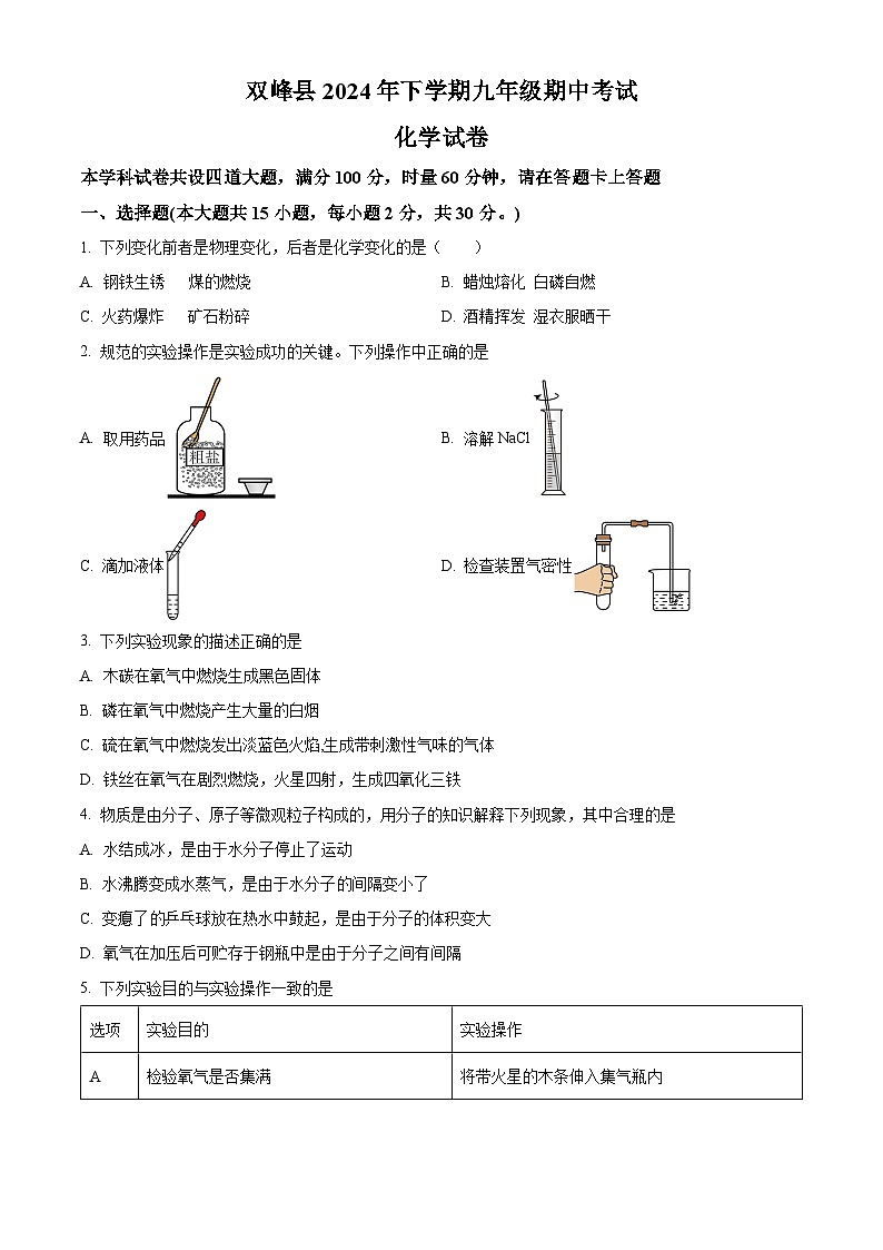 湖南省娄底市双峰县2024-2025学年九年级上学期11月期中化学试题（原卷版）第1页