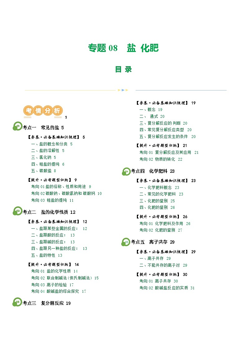 2025年中考化学一轮复习精讲专题08 盐 化肥（原卷版）第1页