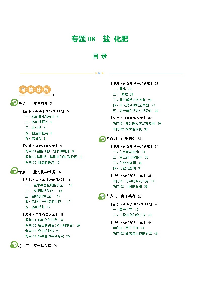 2025年中考化学一轮复习精讲专题08 盐 化肥（解析版）第1页