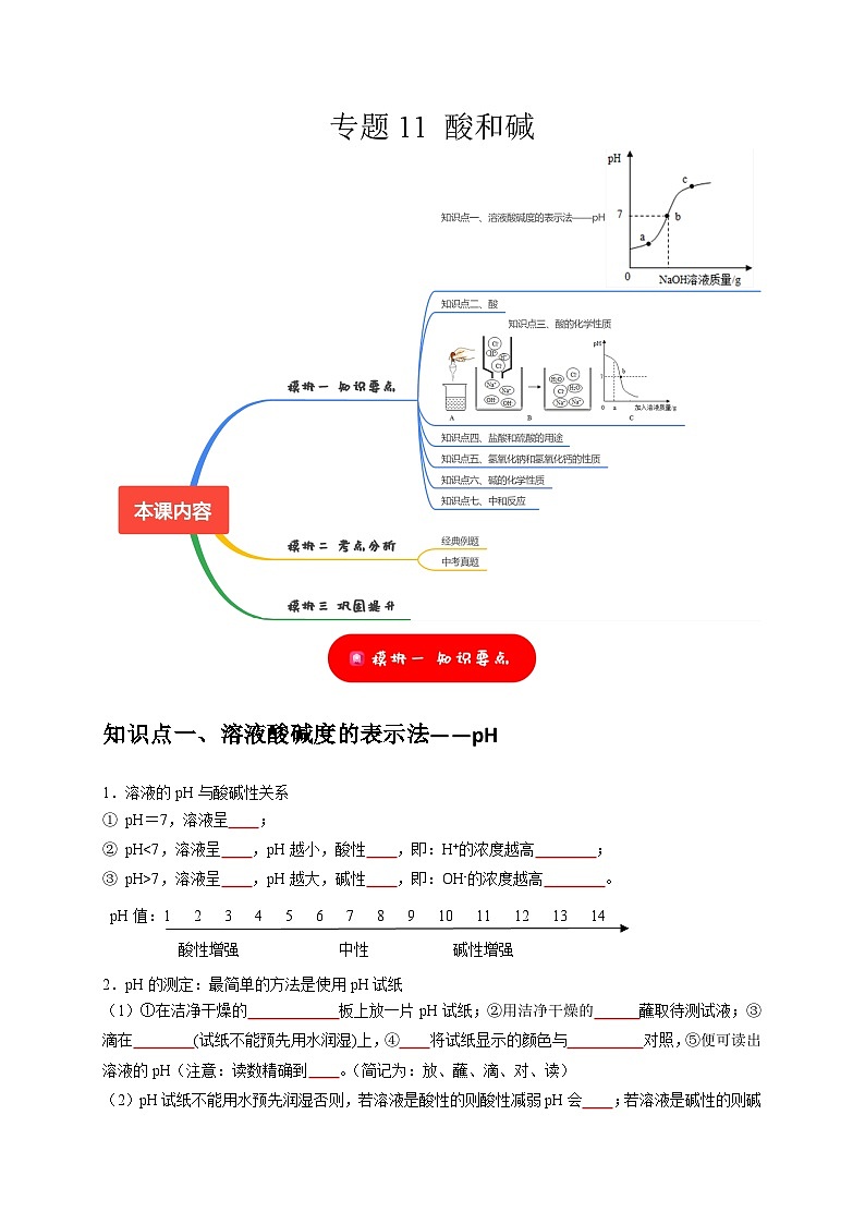 2025年中考化学一轮复习考点过关练习专题11 酸和碱（原卷版）第1页
