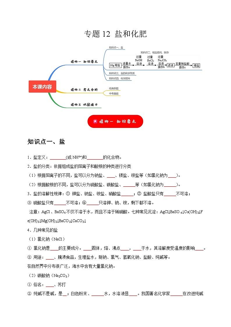 2025年中考化学一轮复习考点过关练习专题12 盐和化肥（原卷版）第1页