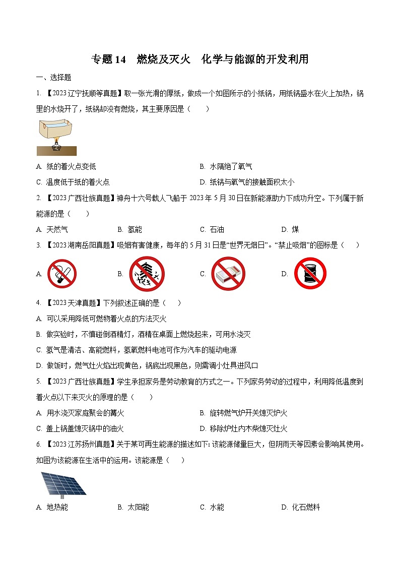 2025年中考化学真题分项汇编专题14 燃烧及灭火 化学与能源的开发利用（原卷版）第1页