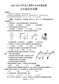 河南省信阳市息县部分校2024-2025学年九年级上学期11月期中考试化学试题