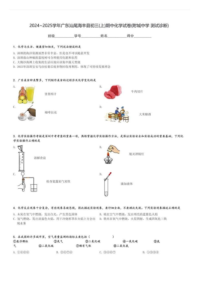 2024～2025学年广东汕尾海丰县初三(上)期中化学试卷(附城中学 测试诊断)[原题+解析]第1页