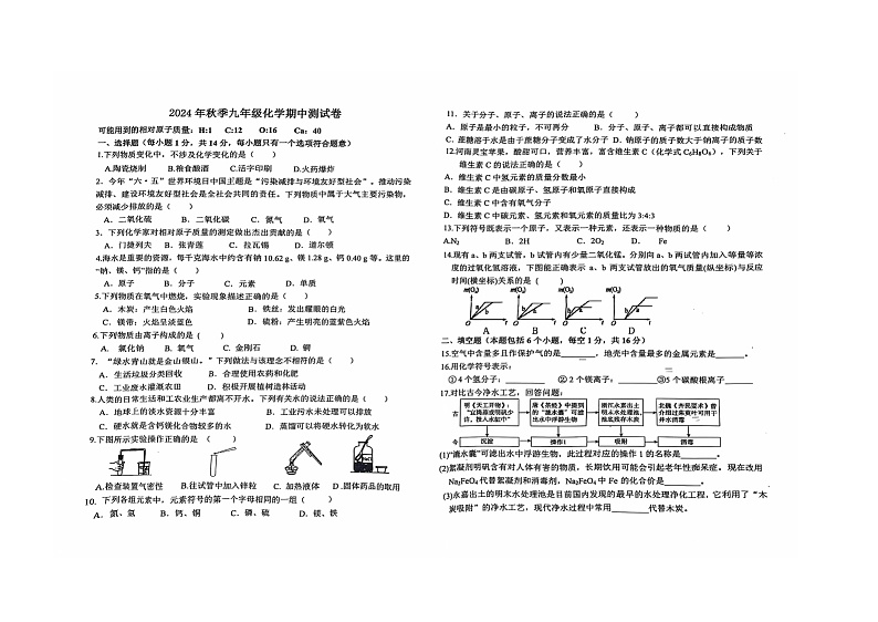 河南省驻马店市第十中学2024--2025学年九年级上学期期中测试化学试卷第1页