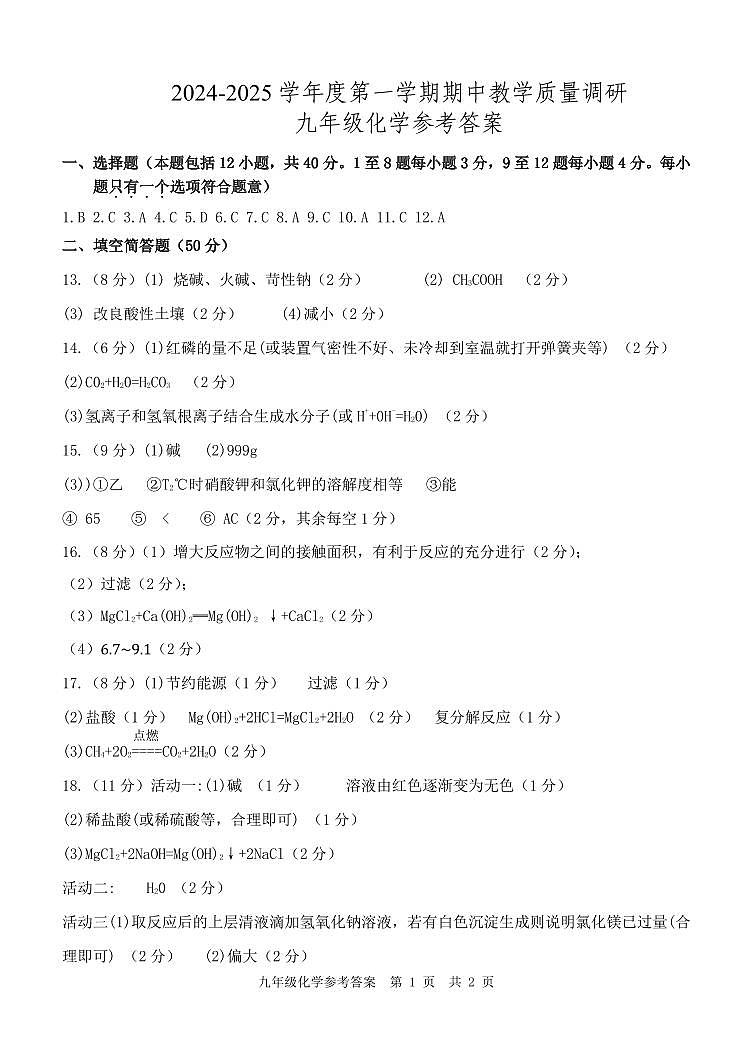 山东省东营市利津县2024--2025学年九年级上学期11月期中化学试题01