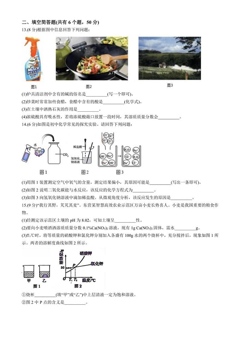 山东省东营市利津县2024～2025学年九年级(上)期中化学试卷(含答案)03