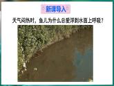7.2 物质溶解的量 第3课时 课件---2024-2025学年九年级化学科粤版（2024）下册