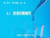 8.1 溶液的酸碱性  课件---2024-2025学年九年级化学科粤版（2024）下册