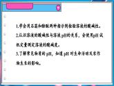 8.1 溶液的酸碱性  课件---2024-2025学年九年级化学科粤版（2024）下册