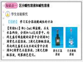 8.1 溶液的酸碱性  课件---2024-2025学年九年级化学科粤版（2024）下册