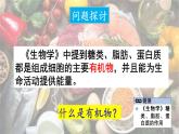 9.1 有機物的常識 課件---2024-2025學年九年級化學科粵版（2024）下冊