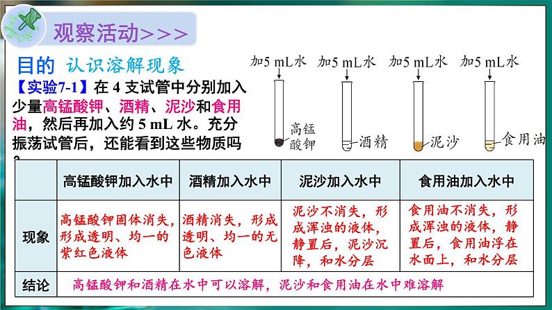 第1课时 溶解第5页