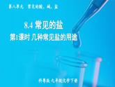 8.4 常見的鹽 第1課時(shí)  課件---2024-2025學(xué)年九年級(jí)化學(xué)科粵版（2024）下冊(cè)