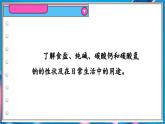 8.4 常見的鹽 第1課時(shí)  課件---2024-2025學(xué)年九年級(jí)化學(xué)科粵版（2024）下冊(cè)