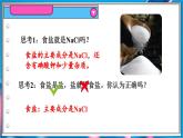 8.4 常見的鹽 第1課時(shí)  課件---2024-2025學(xué)年九年級(jí)化學(xué)科粵版（2024）下冊(cè)