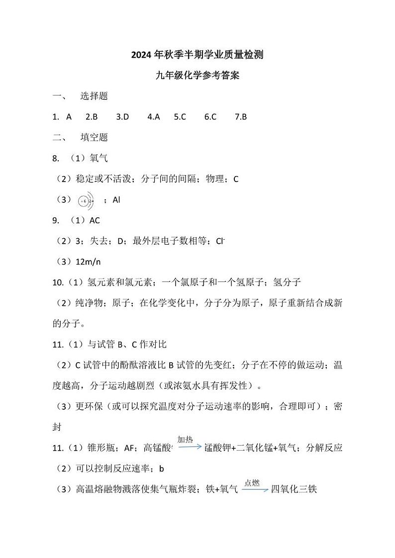 贵州省毕节市金沙县第四中学2024-2025学年九年级上学期期中考试化学试卷01
