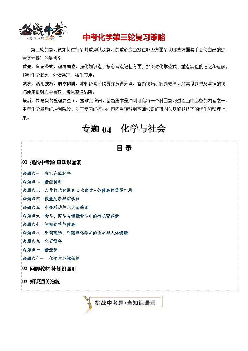 专题04 化学与社会（解析版）第1页