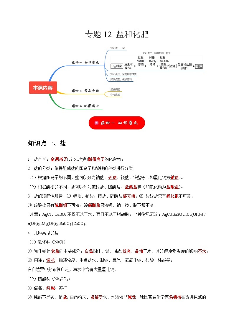 专题12 盐和化肥（解析版）第1页