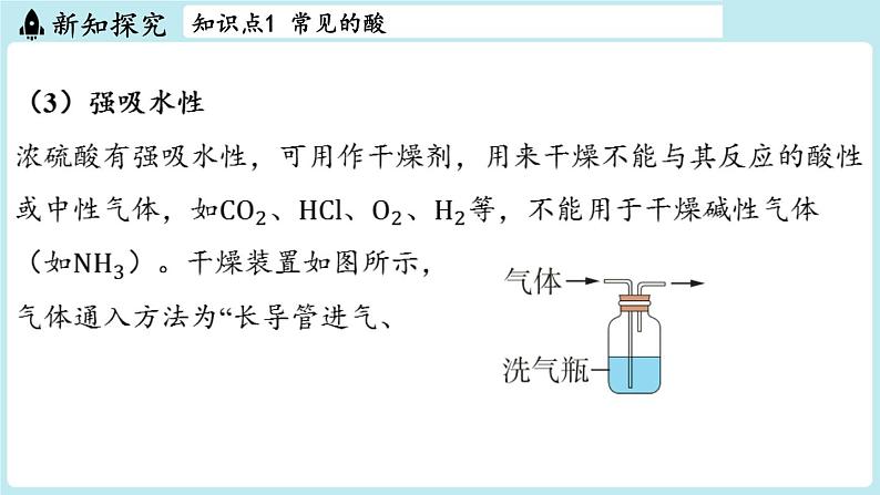 2024-2025学年初中化学九年级下册科粤版上课课件 8.2 常见的酸和碱07