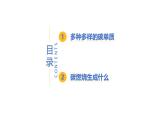 5.2 碳-初中化学九年级上册同步教学课件+同步练习（科粤版2024）