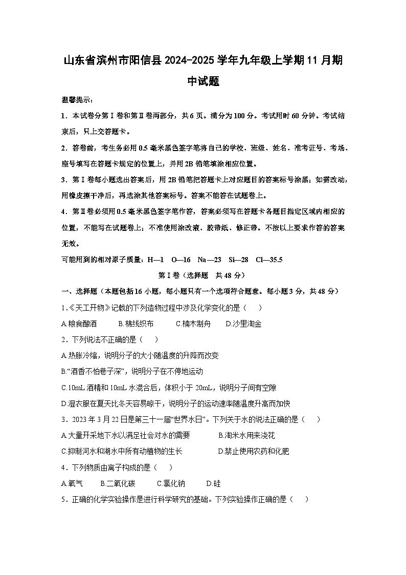 2024-2025学年山东省滨州市阳信县九年级(上)11月期中化学试卷01