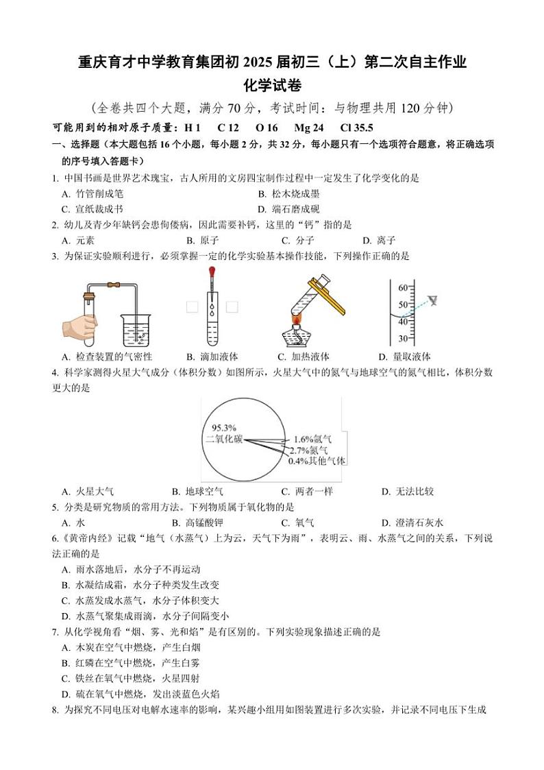2024～2025学年重庆市育才中学校教育集团九年级(上)第二次自主作业化学试卷(含答案)第1页