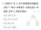 初中化学新人教版九年级上册期末大单元整合（二） 物质的转化与推断作业课件（2024秋）