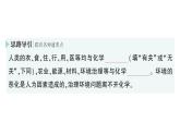 初中化学新人教版九年级上册绪言化学使世界变得更加绚丽多彩作业课件2024秋
