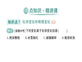初中化学新人教版九年级上册第一单元课题1 物质的变化和性质作业课件2024秋