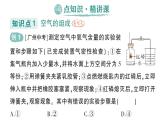 初中化学新人教版九年级上册第二单元课题1 我们周围的空气作业课件2024秋