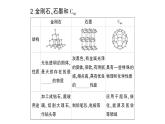 初中化学新人教版九年级上册第六单元课题1 碳单质的多样性知识点填空作业课件2024秋