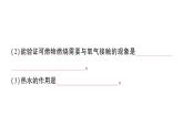 初中化学新人教版九年级上册第七单元课题1 燃料的燃烧作业课件2024秋
