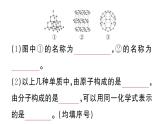 初中化学新人教版九年级上册第六单元课题1第一课时 碳的单质作业课件（2024秋）