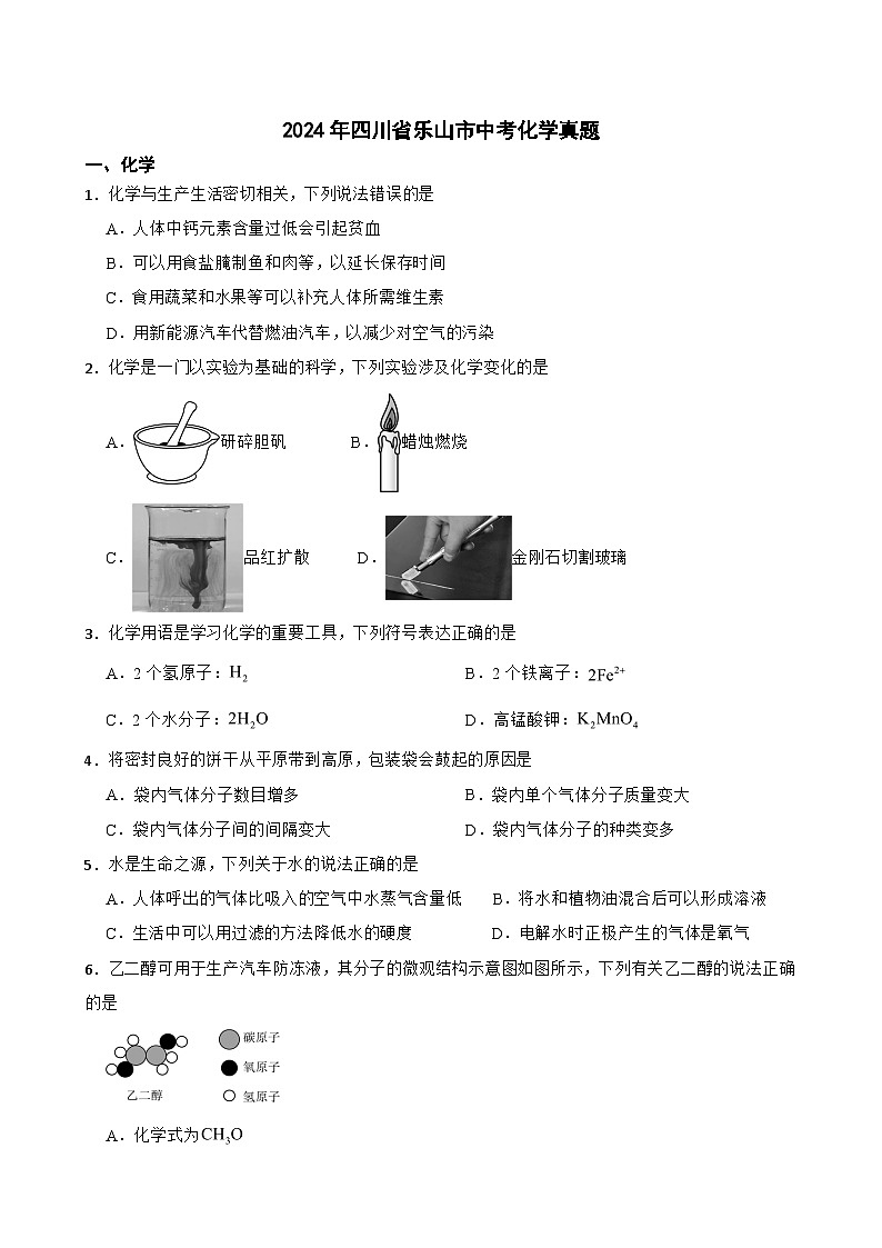 2024年四川省乐山市中考化学真题【附真题答案】第1页