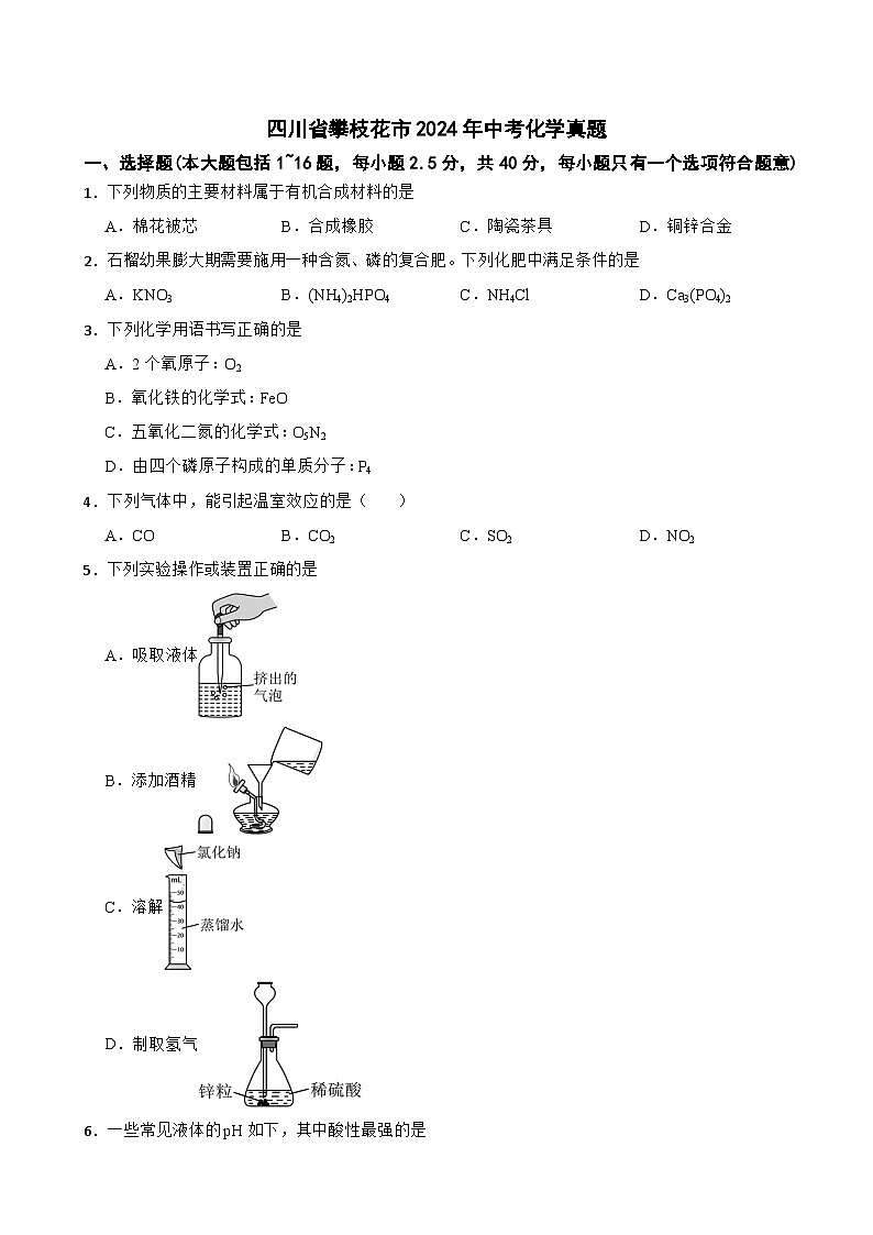 四川省攀枝花市2024年中考化学真题【附真题答案】第1页