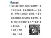 初中化学新科粤版九年级上册1.3 物质的变化作业课件（2024秋）