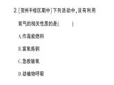 初中化學(xué)新科粵版九年級(jí)上冊(cè)3.1 氧氣的性質(zhì)和用途作業(yè)課件（2024秋）