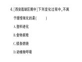 初中化學(xué)新科粵版九年級(jí)上冊(cè)3.1 氧氣的性質(zhì)和用途作業(yè)課件（2024秋）