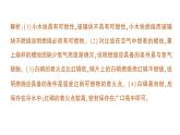 初中化學(xué)新科粵版九年級上冊3.3 燃燒條件與滅火原理作業(yè)課件2024秋