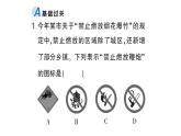 初中化學(xué)新科粵版九年級上冊3.3 燃燒條件與滅火原理作業(yè)課件（2024秋）